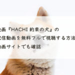 映画『HACHI 約束の犬』の配信動画を無料フルで視聴する方法！Youtube・Pandora・Dailymotionも。