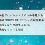 映画『ハーレイ・クインの華麗なる覚醒 BIRDS OF PREY』の配信動画を無料フルで視聴する方法。Youtube・Pandora・Dailymotionでも検索！